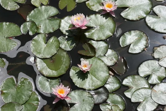 数据更新与口径说明